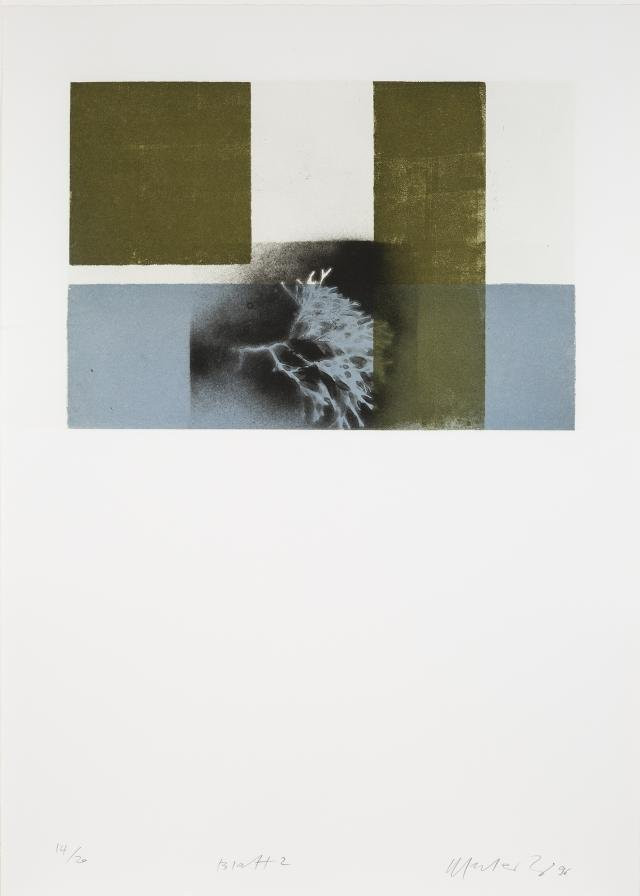 Helmut Federle Editions – ars publicata