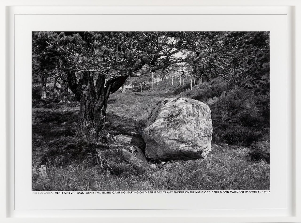 BIRD SONG / HAMISH FULTON ハミッシュ・フルトン作品集 Hamish Fulton | SMALL BIRDS SIGING IN THE BUSHES, 2021 (2021